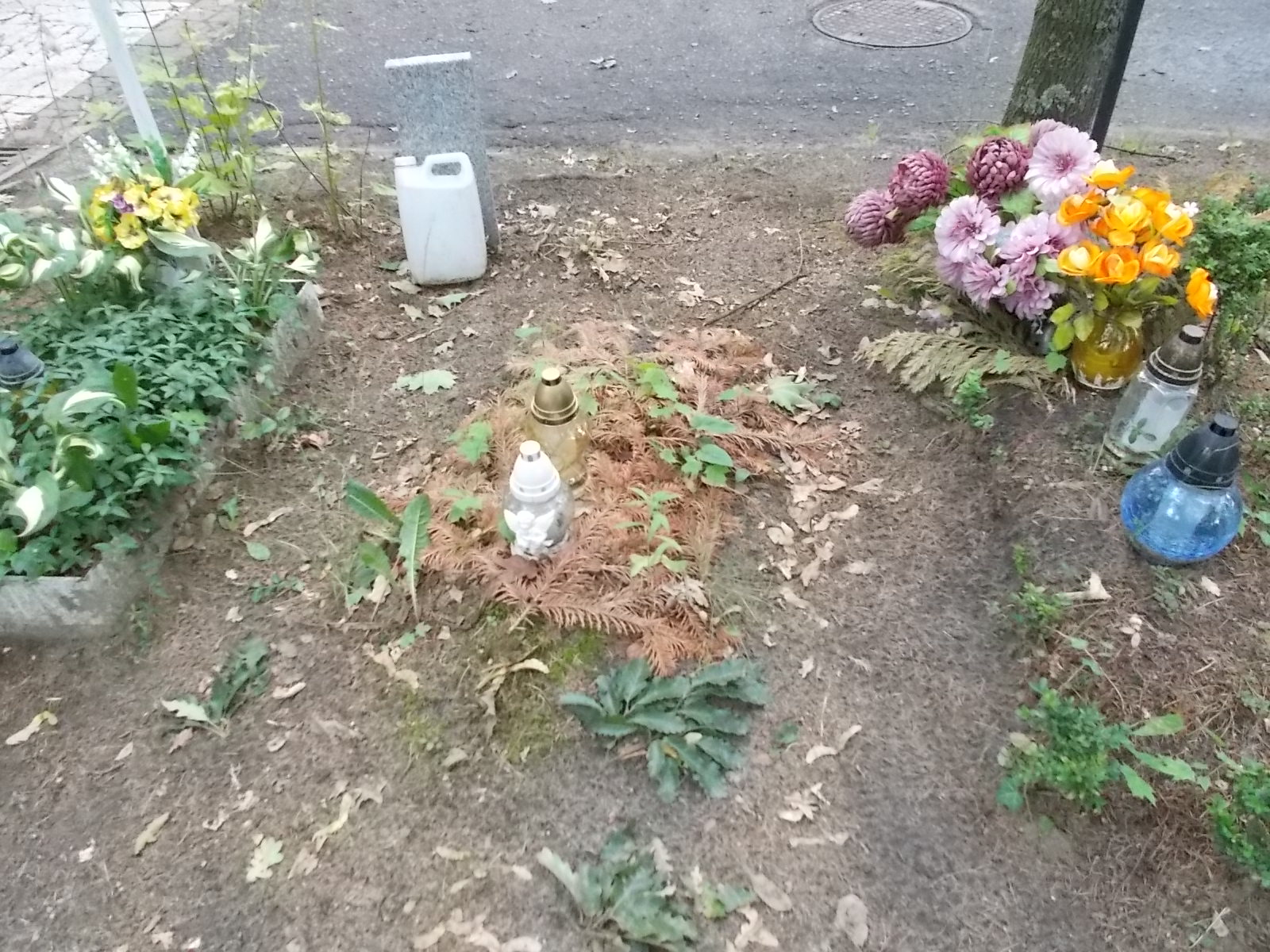 Grażyna Pacześ 1955 Pabianice - Grobonet - Wyszukiwarka osób pochowanych