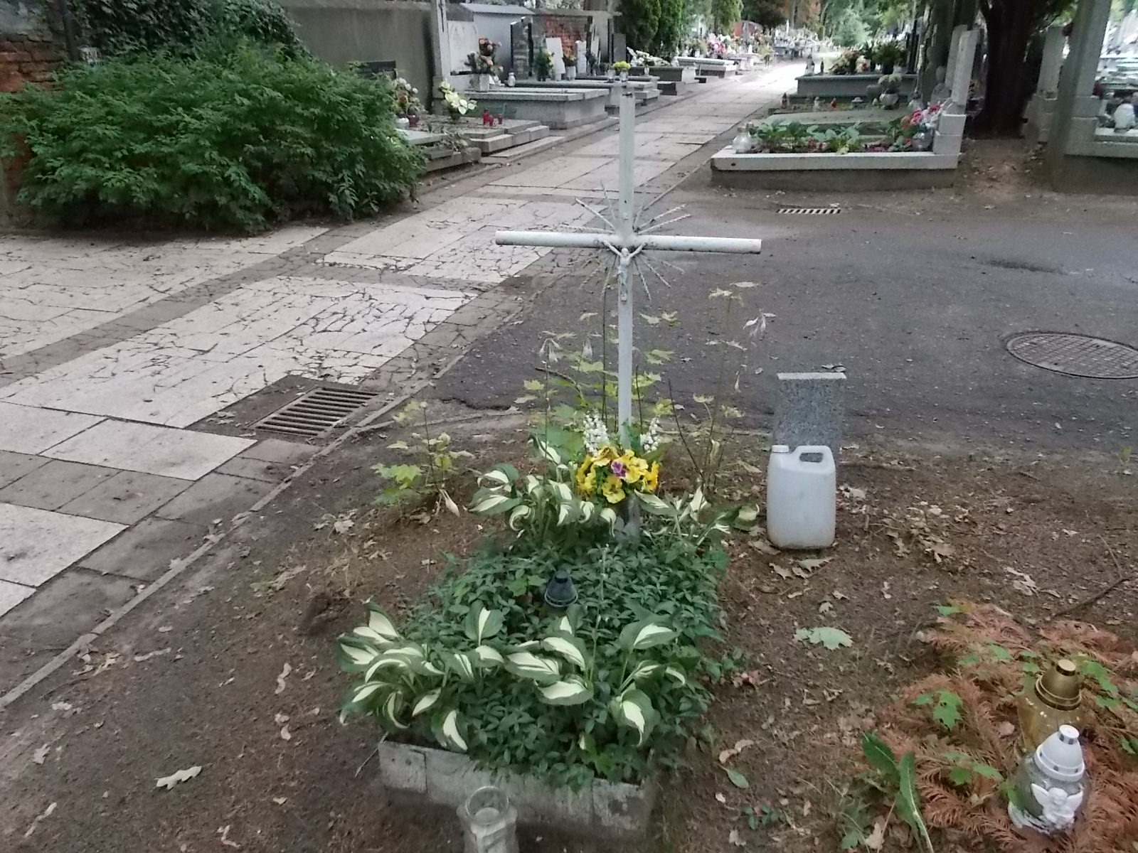 Regina Adamczyk 1955 Pabianice - Grobonet - Wyszukiwarka osób pochowanych