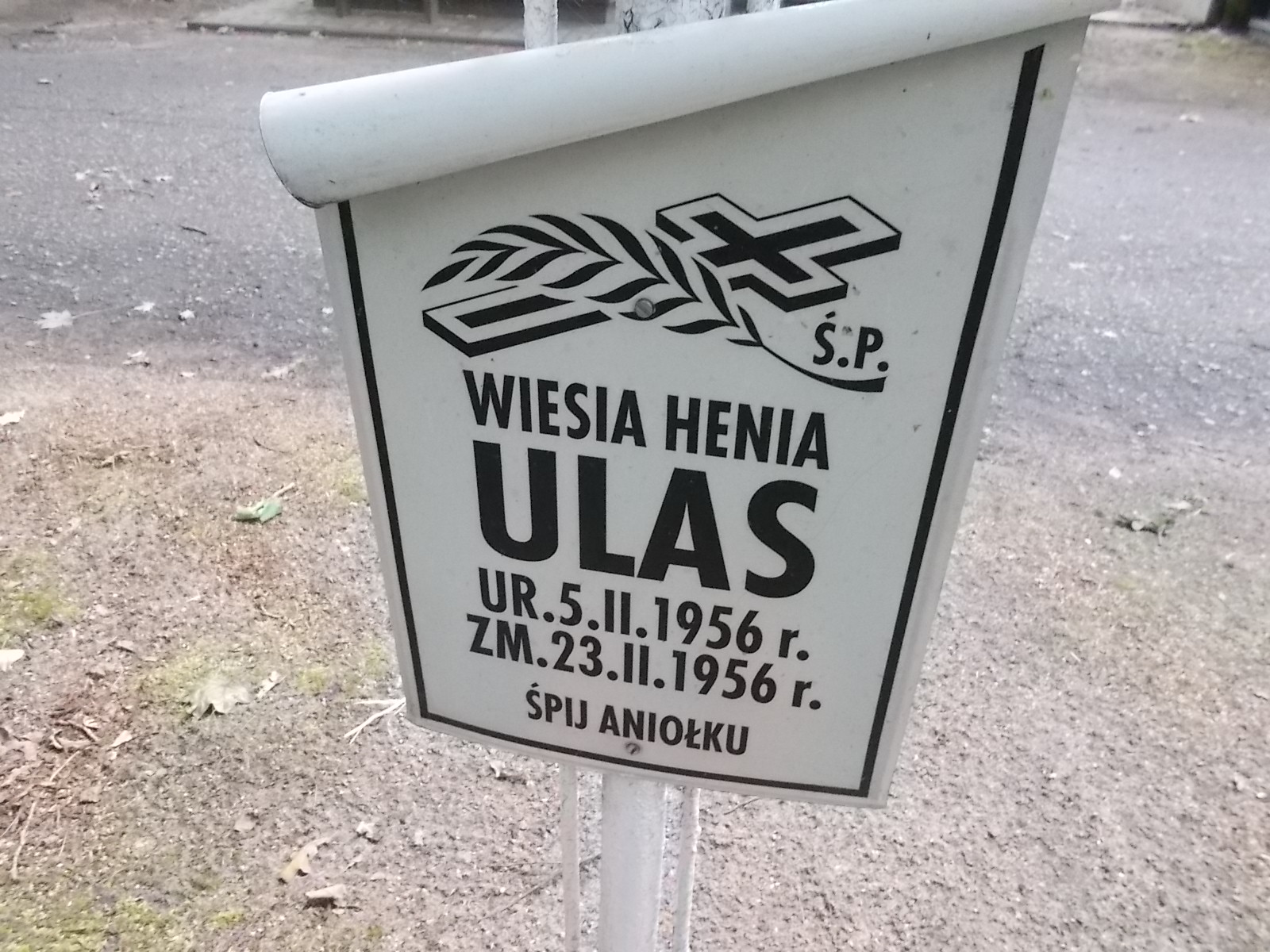 Wiesława Henryka Ulas 1956 Pabianice - Grobonet - Wyszukiwarka osób pochowanych