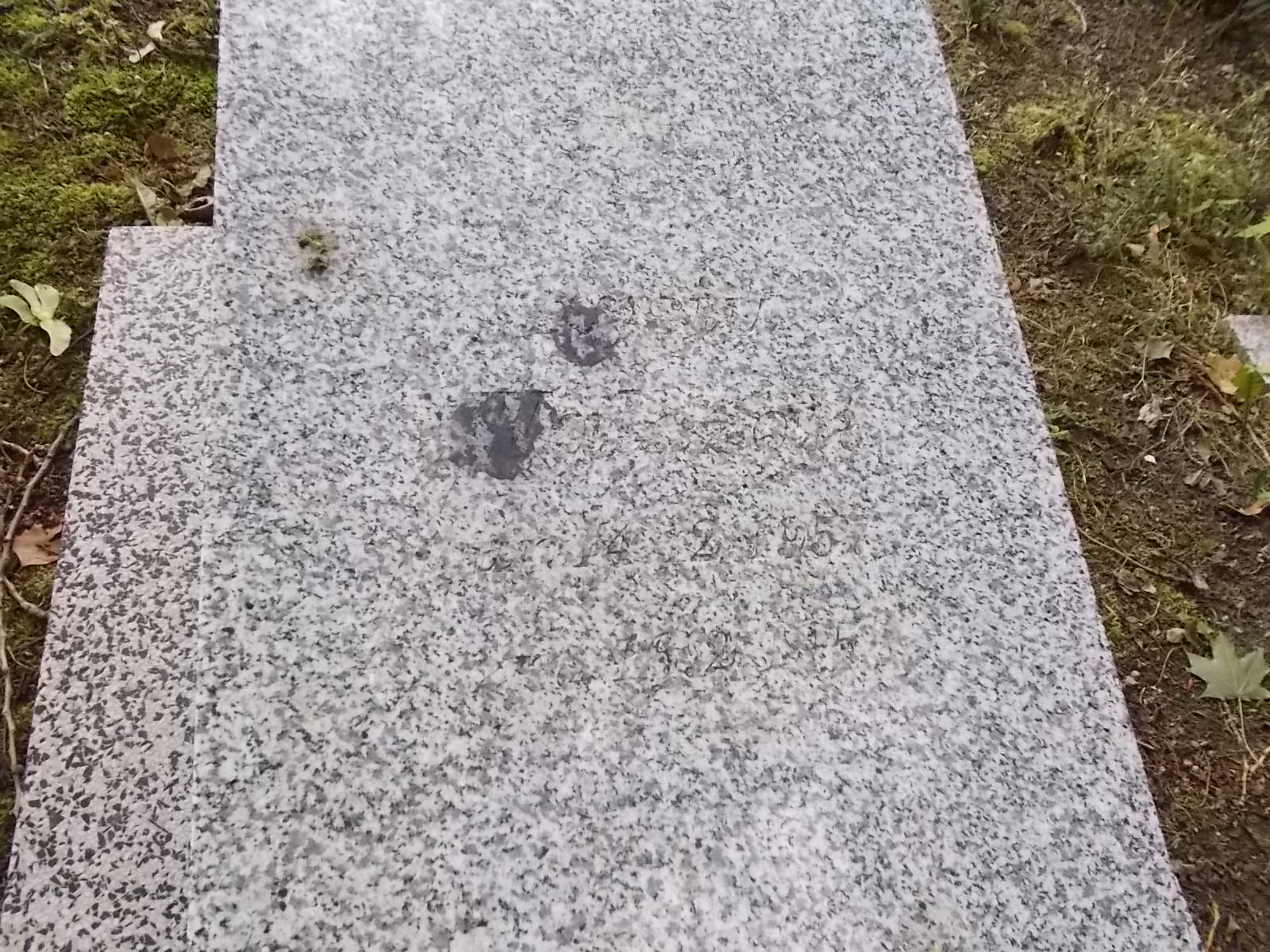 Ryszard Walczak 1957 Pabianice - Grobonet - Wyszukiwarka osób pochowanych