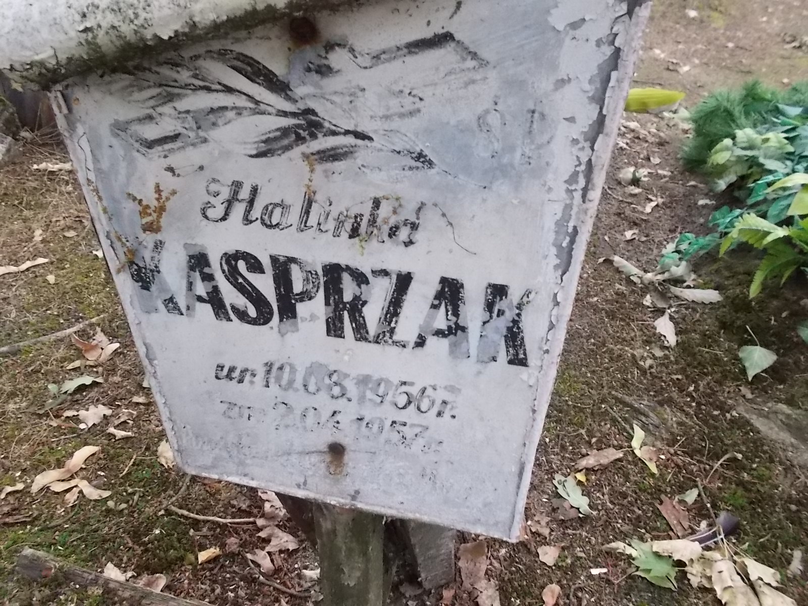 Krystyna Motyl 1956 Pabianice - Grobonet - Wyszukiwarka osób pochowanych