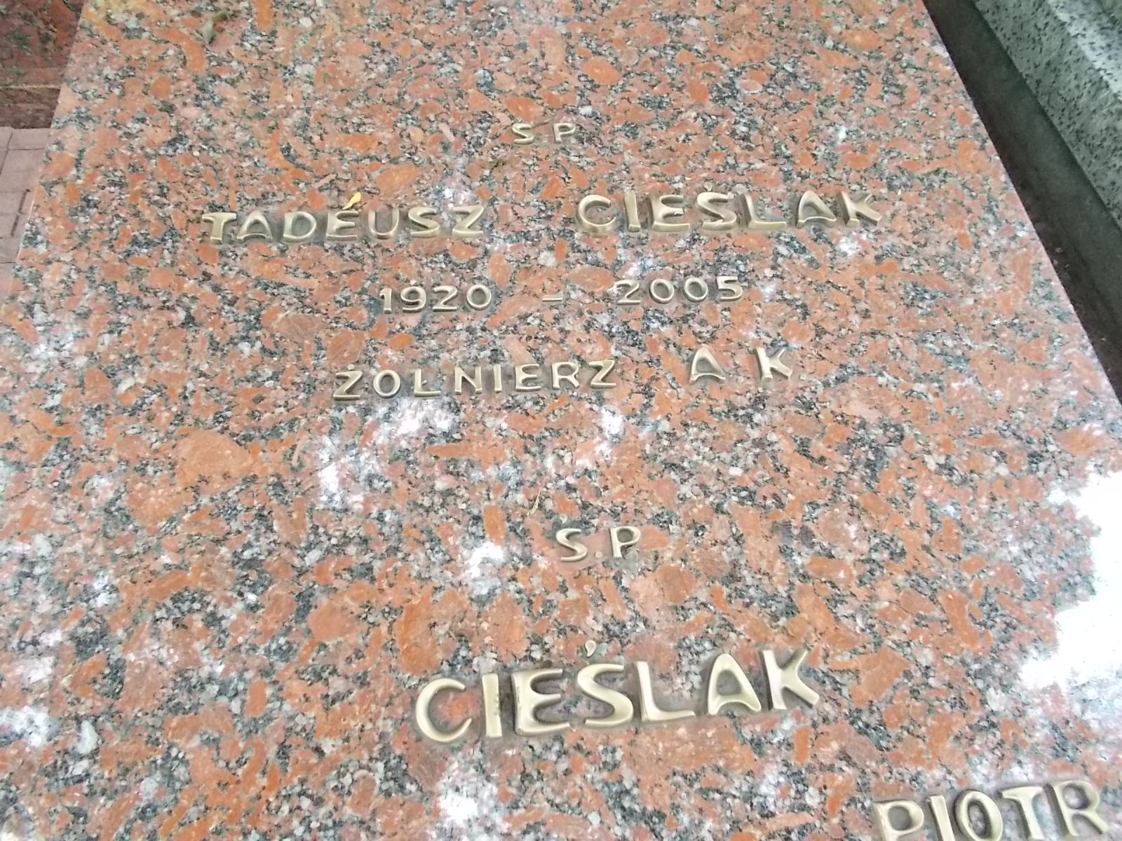 Grób Tadeusz   Cieślak