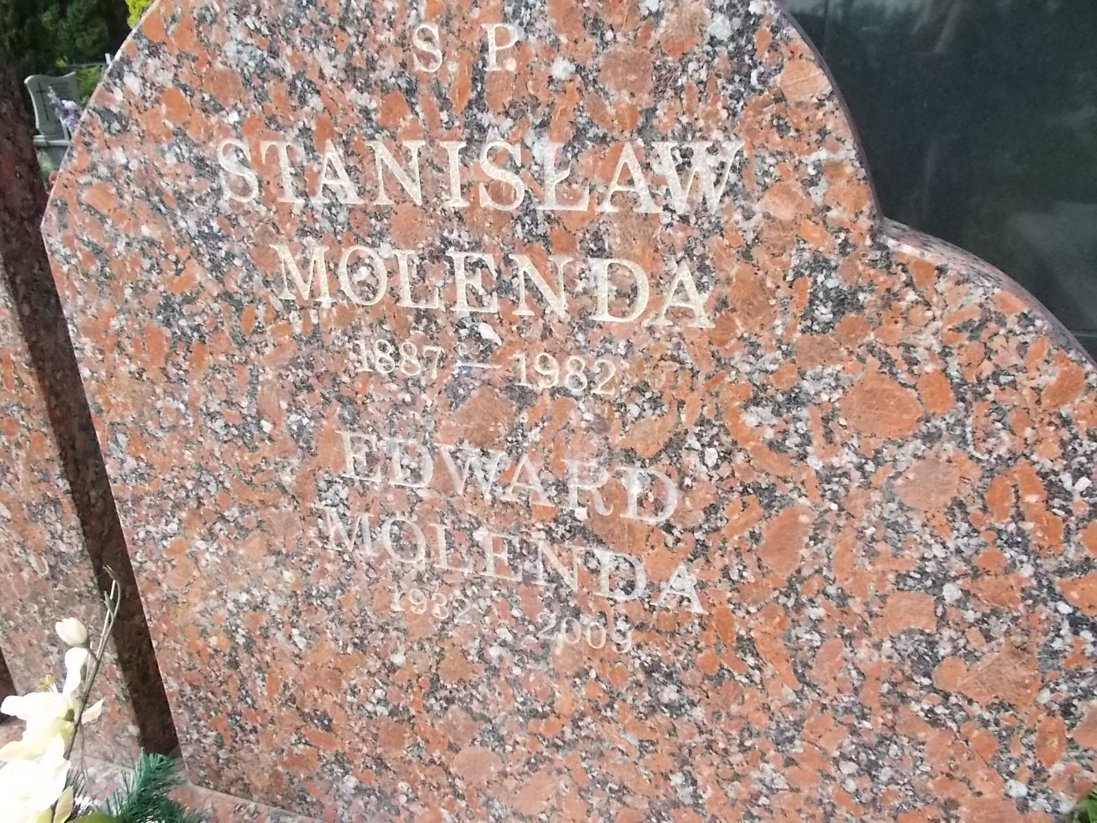 Stanisława Molenda 1893 Pabianice - Grobonet - Wyszukiwarka osób pochowanych