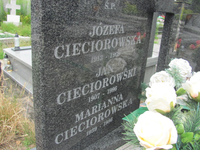 Józefa Cieciorowska 1913 Pabianice - Grobonet - Wyszukiwarka osób pochowanych