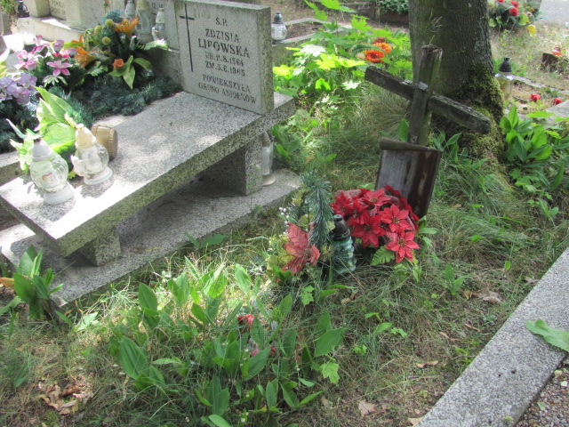 Wiktor Midzierski 1964 Pabianice - Grobonet - Wyszukiwarka osób pochowanych