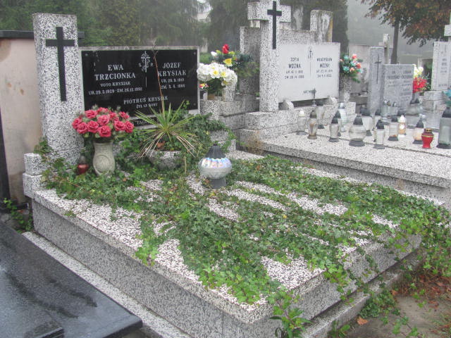 Ewa Trzcionka 1929 Pabianice - Grobonet - Wyszukiwarka osób pochowanych