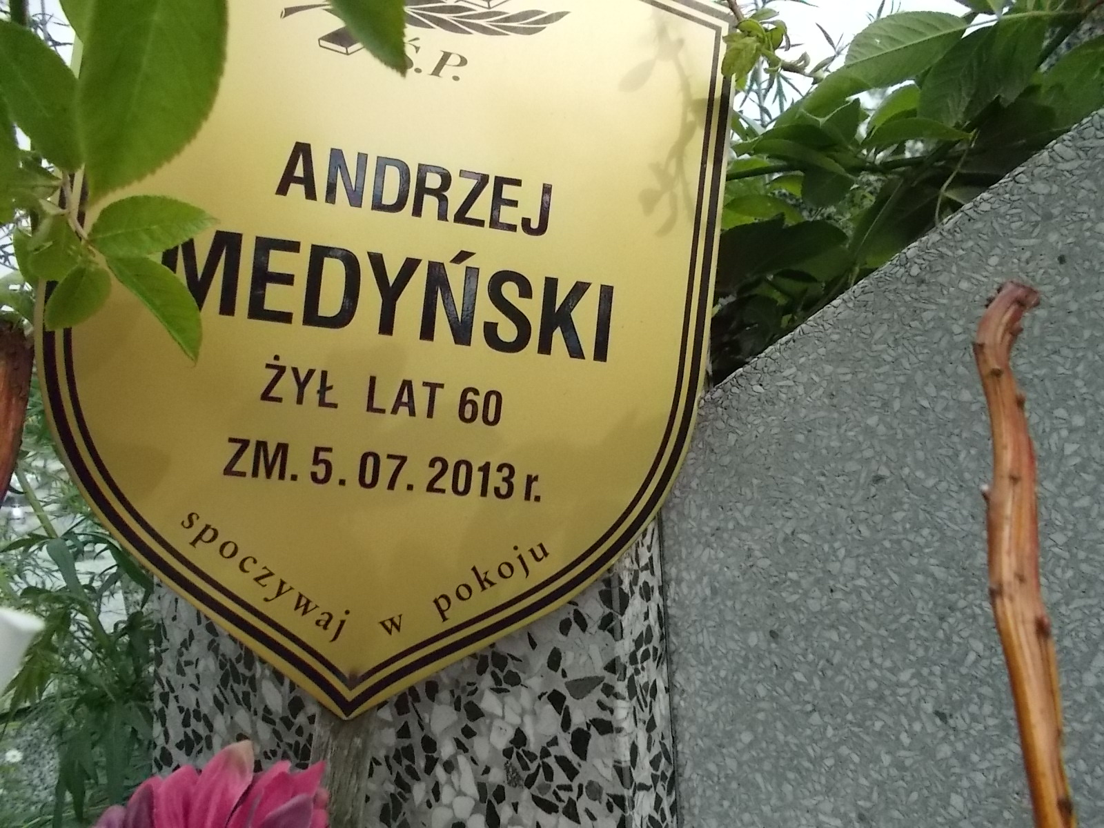 Irena Medyńska Pabianice - Grobonet - Wyszukiwarka osób pochowanych