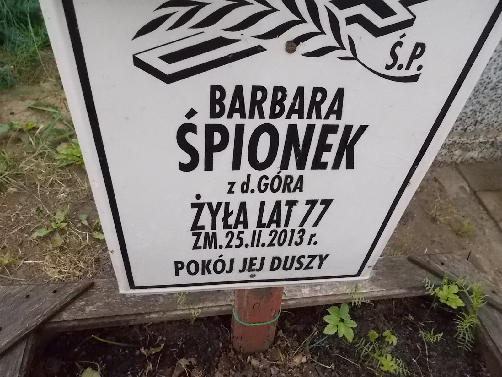 Zdjęcie grobu