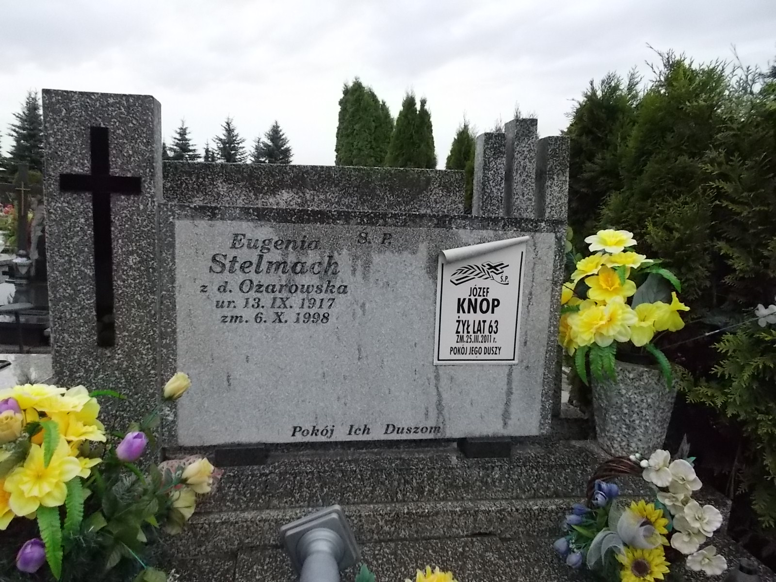 Grób Eugenia Stelmach