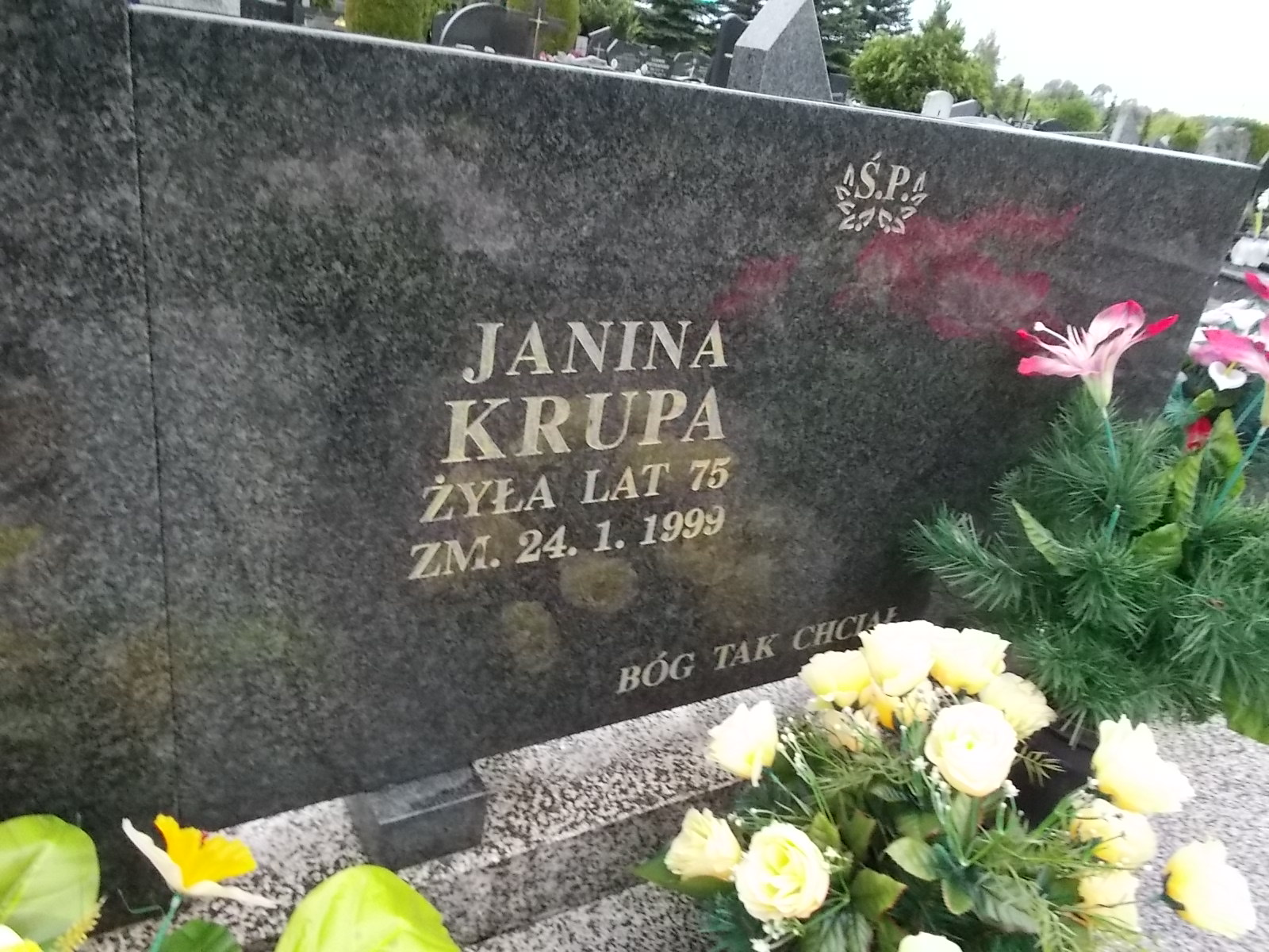 Wiesława Krupa 1942 Pabianice - Grobonet - Wyszukiwarka osób pochowanych