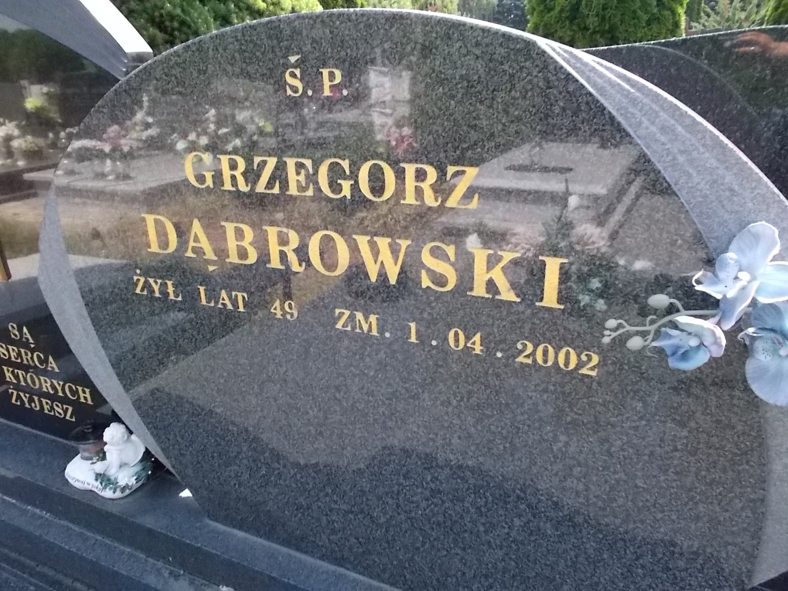 Grzegorz Dąbrowski Pabianice - Grobonet - Wyszukiwarka osób pochowanych