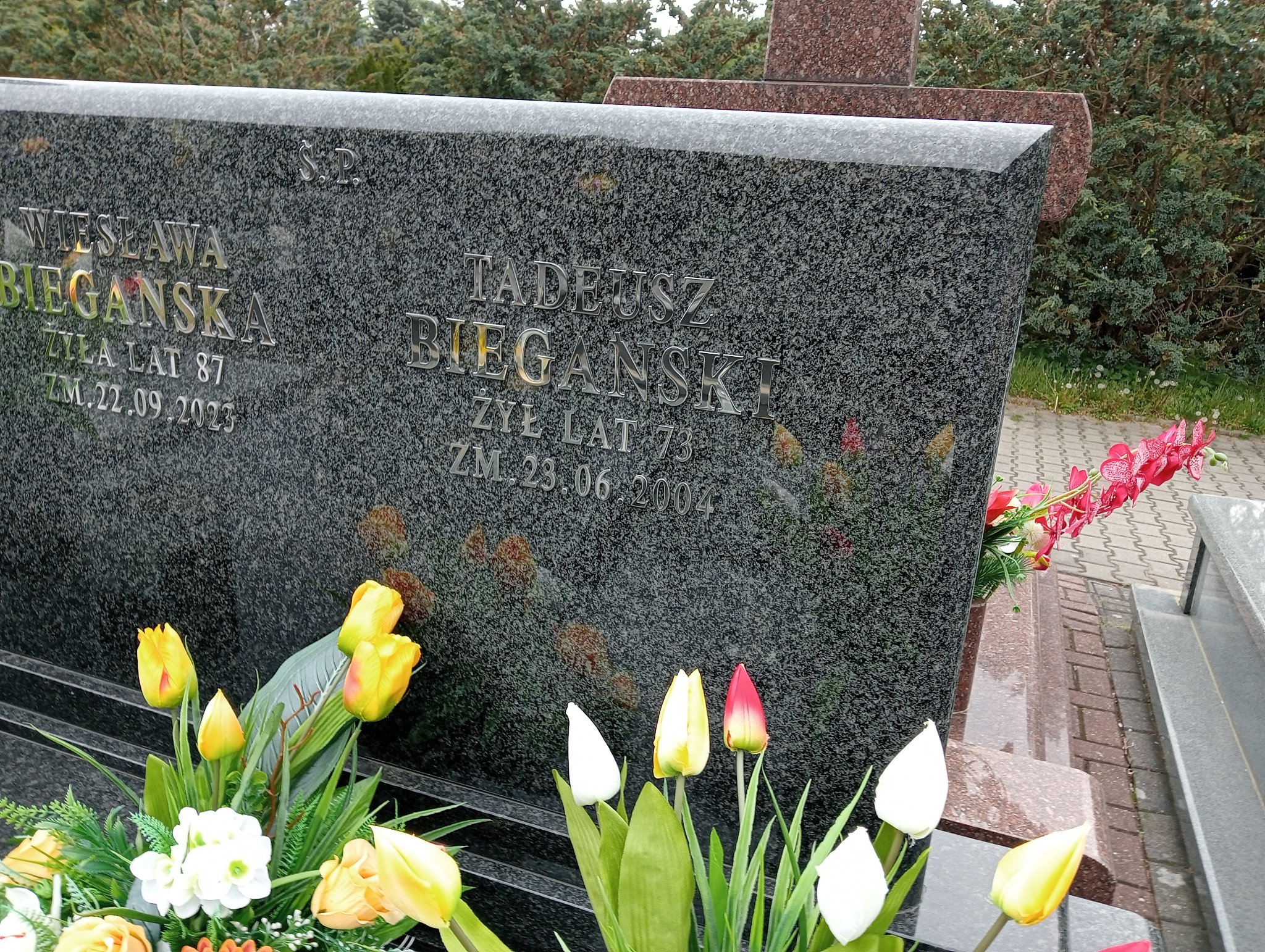 Tadeusz Biegański Pabianice - Grobonet - Wyszukiwarka osób pochowanych