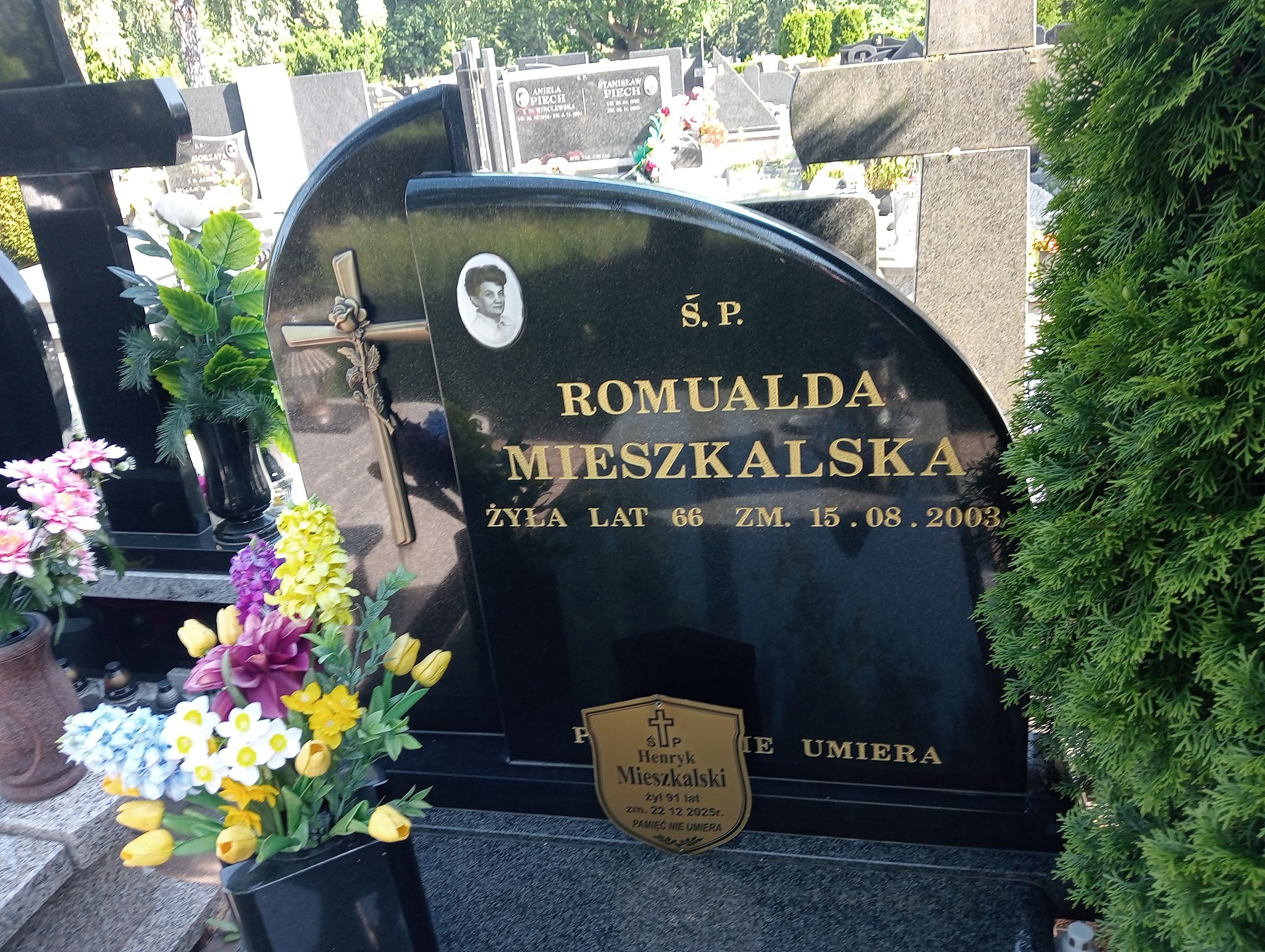 Henryk Mieszkalski 1934 Pabianice - Grobonet - Wyszukiwarka osób pochowanych