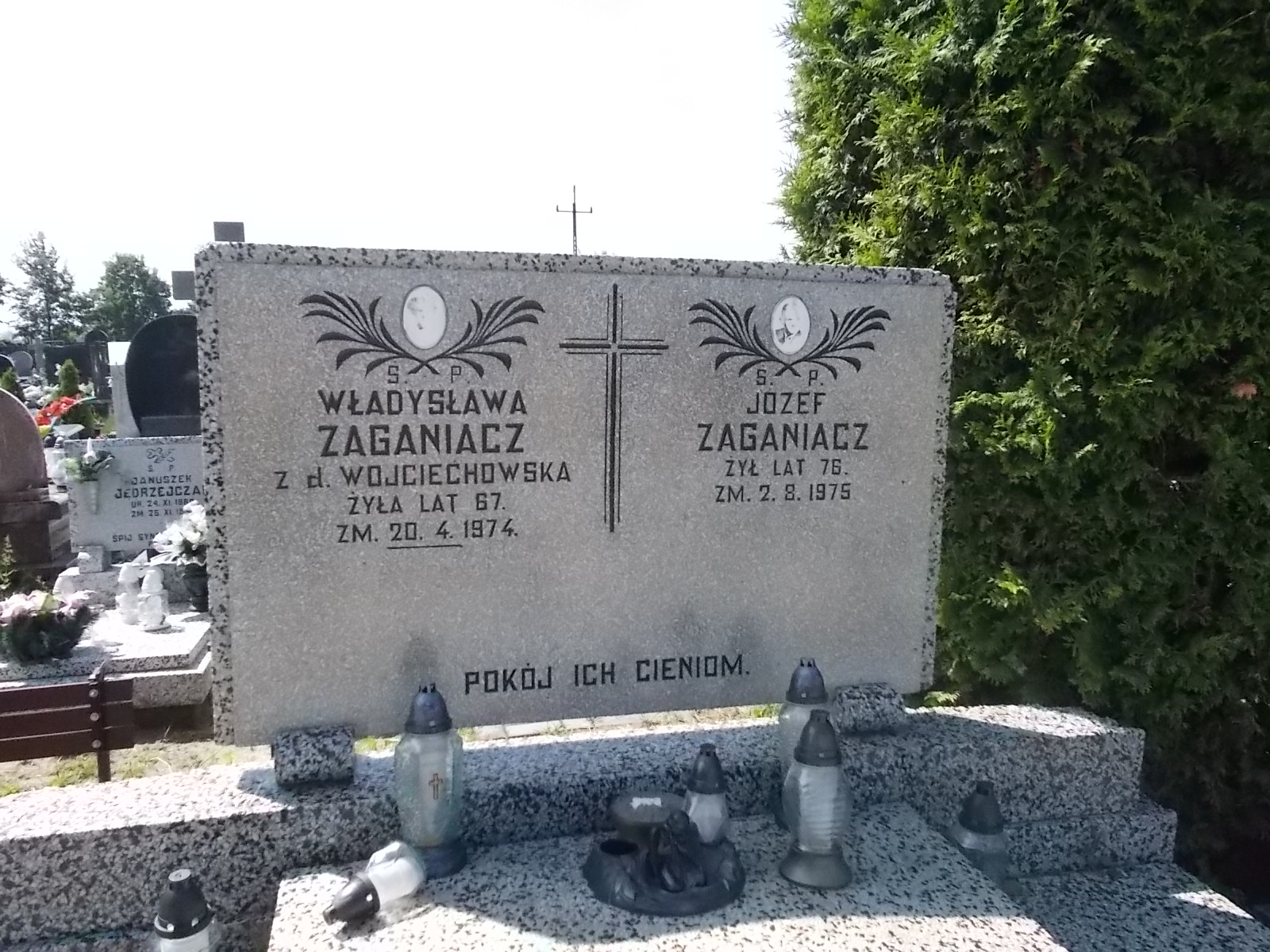 Andrzej Ziemniak 1946 Pabianice - Grobonet - Wyszukiwarka osób pochowanych