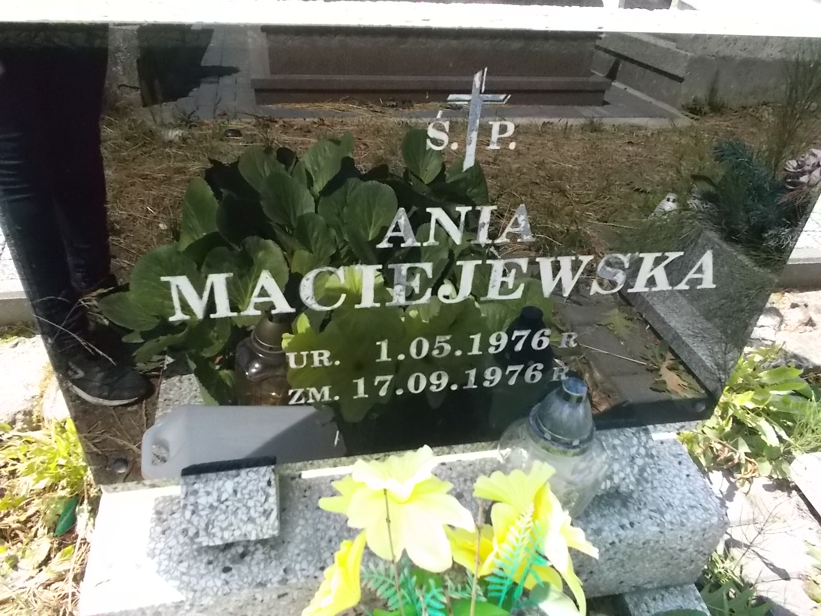 Anna Maciejewska 1976 Pabianice - Grobonet - Wyszukiwarka osób pochowanych