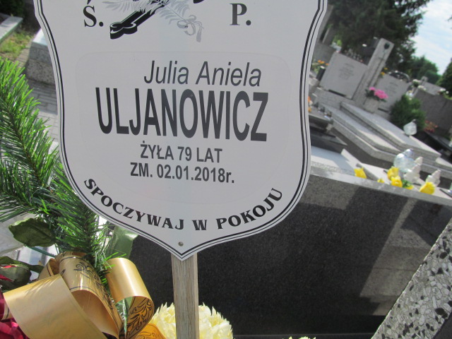 Władysława Uljanowicz 1906 Pabianice - Grobonet - Wyszukiwarka osób pochowanych