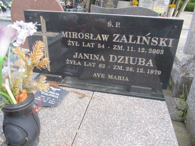 Janina Dziuba 1917 Pabianice - Grobonet - Wyszukiwarka osób pochowanych