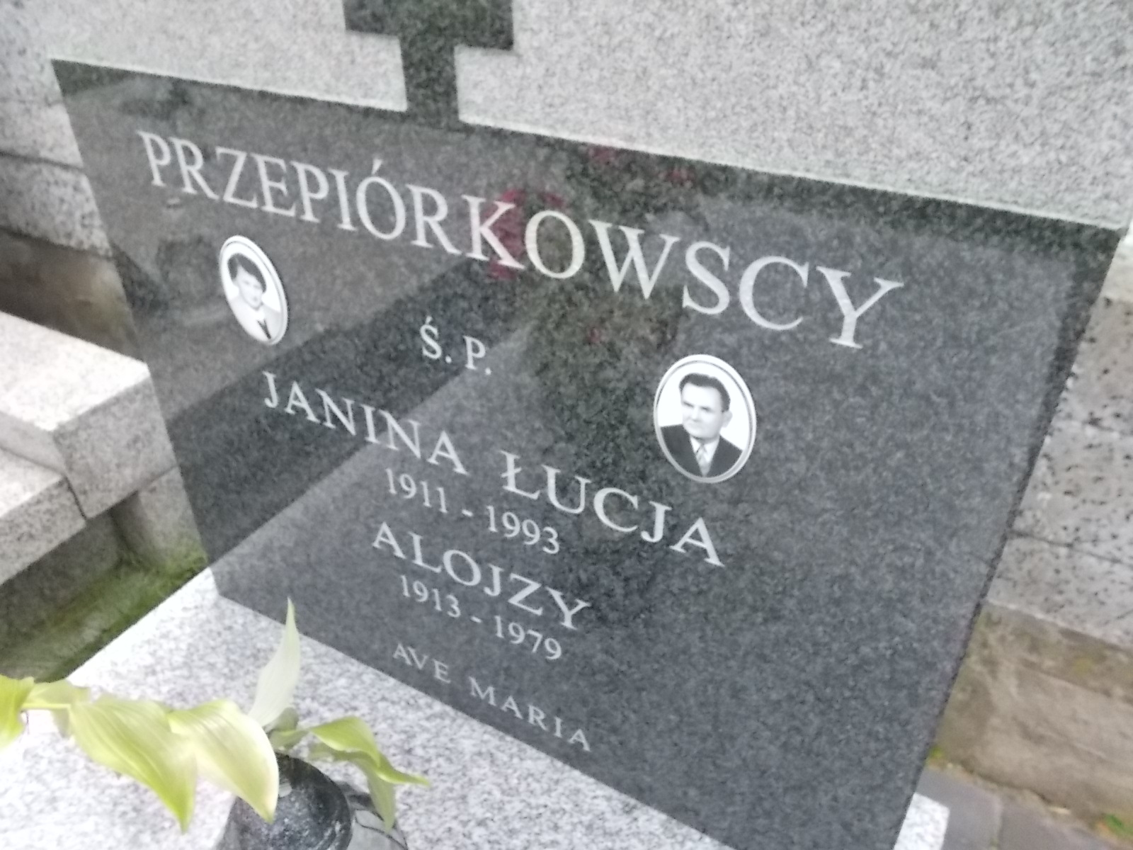 Alojzy Przepiórkowski 1913 Pabianice - Grobonet - Wyszukiwarka osób pochowanych